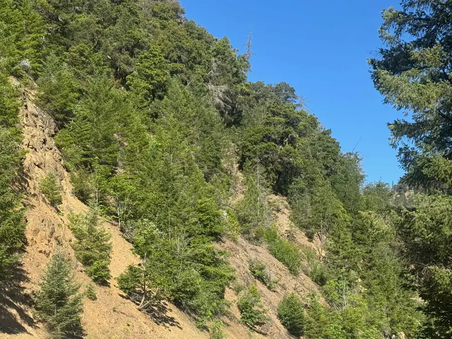 102 acres Highway 96, Horse Creek, CA 96050 - Image #3