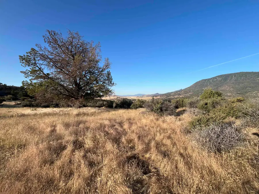 U-3 Lot 61 Whitepine St, Hornbrook, CA 96044 - Image #2