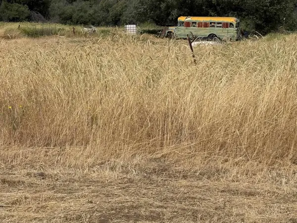 Lot 21 Hornbrook Rd, Hornbrook, CA 96044