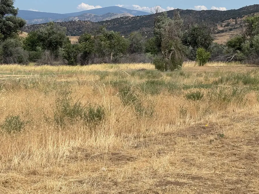 Lot 21 Hornbrook Rd, Hornbrook, CA 96044 - Image #2