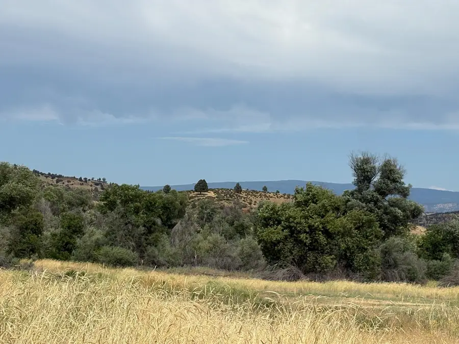 Lot 22 Hornbrrok Rd, Hornbrook, CA 96044 - Image #2