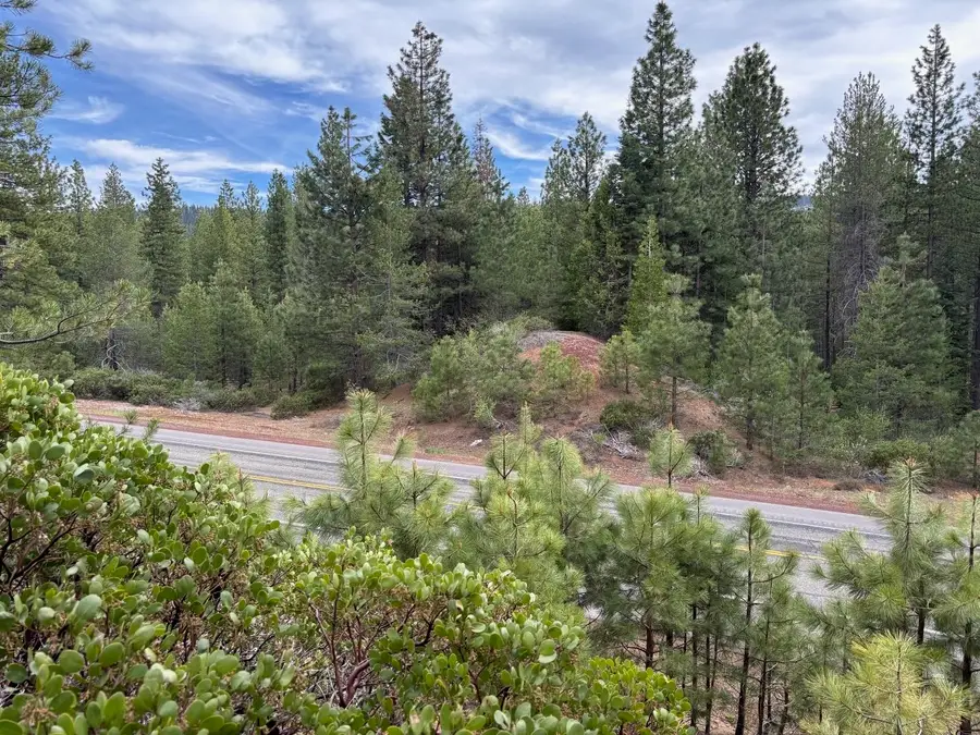 6 acres along Hwy 89, McCloud, CA 96057 - Image #2