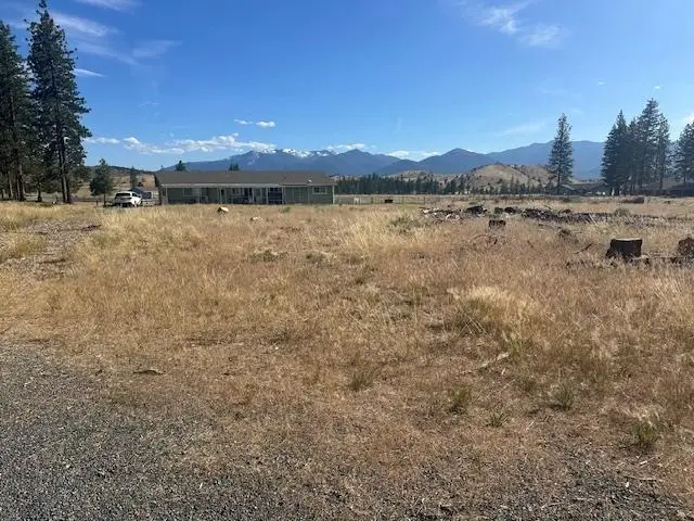 7-3/37 & 38 Possum Court, Weed, CA 96094 - Image #2