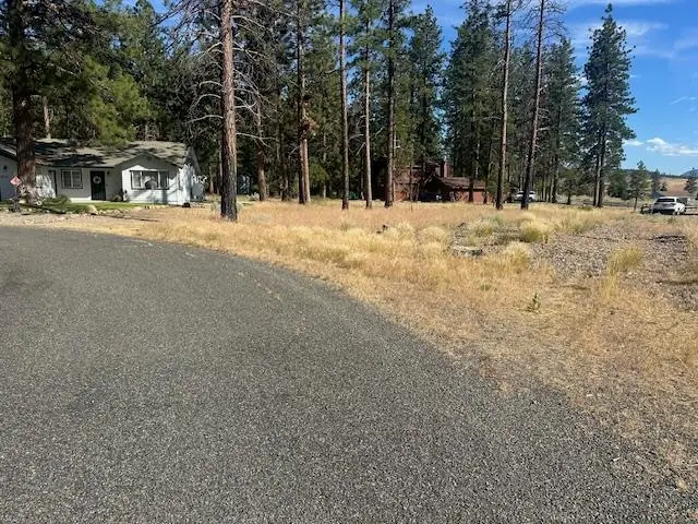 7-3/37 & 38 Possum Court, Weed, CA 96094 - Image #3