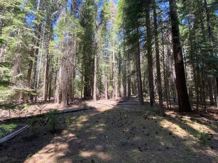 2-B-6 Crestview Way, McCloud, CA 96057 - Image #3