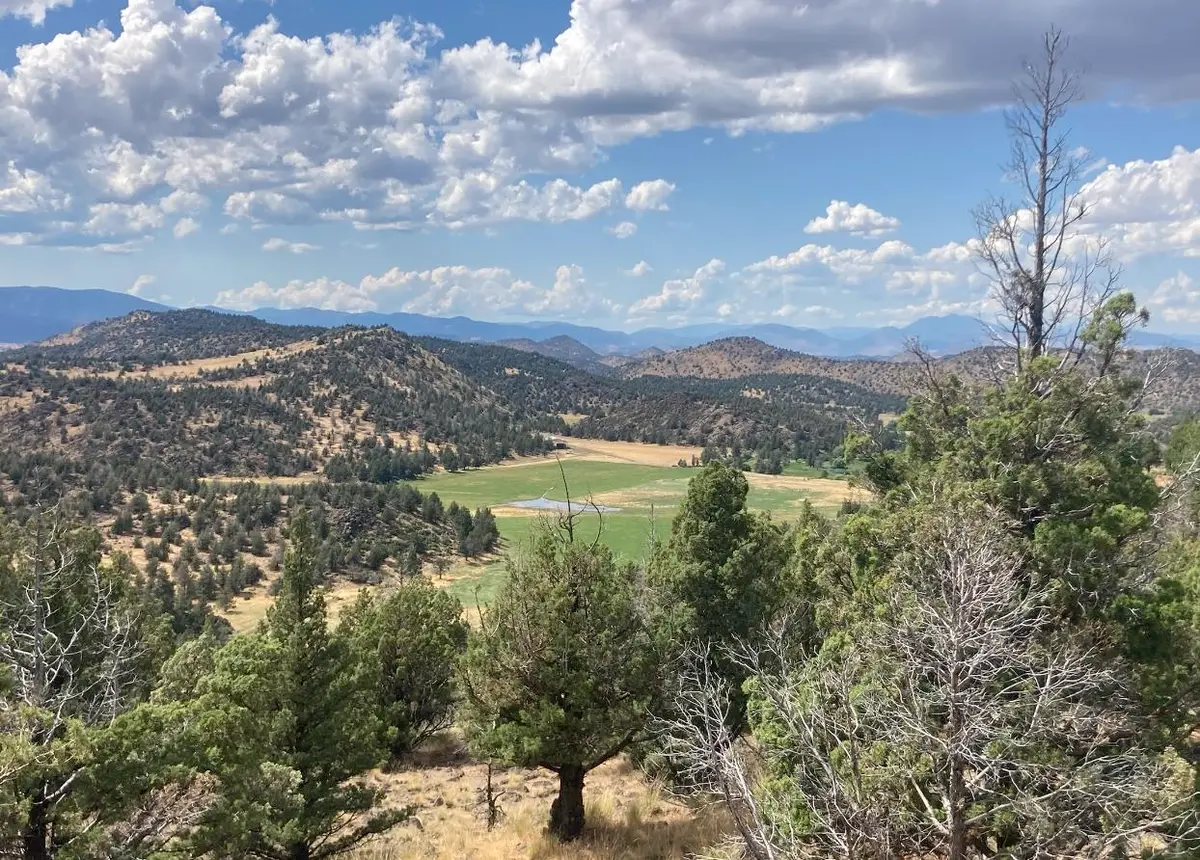 Lot 242 Eagle Rest Ct, Weed, CA 96094 - Image #1