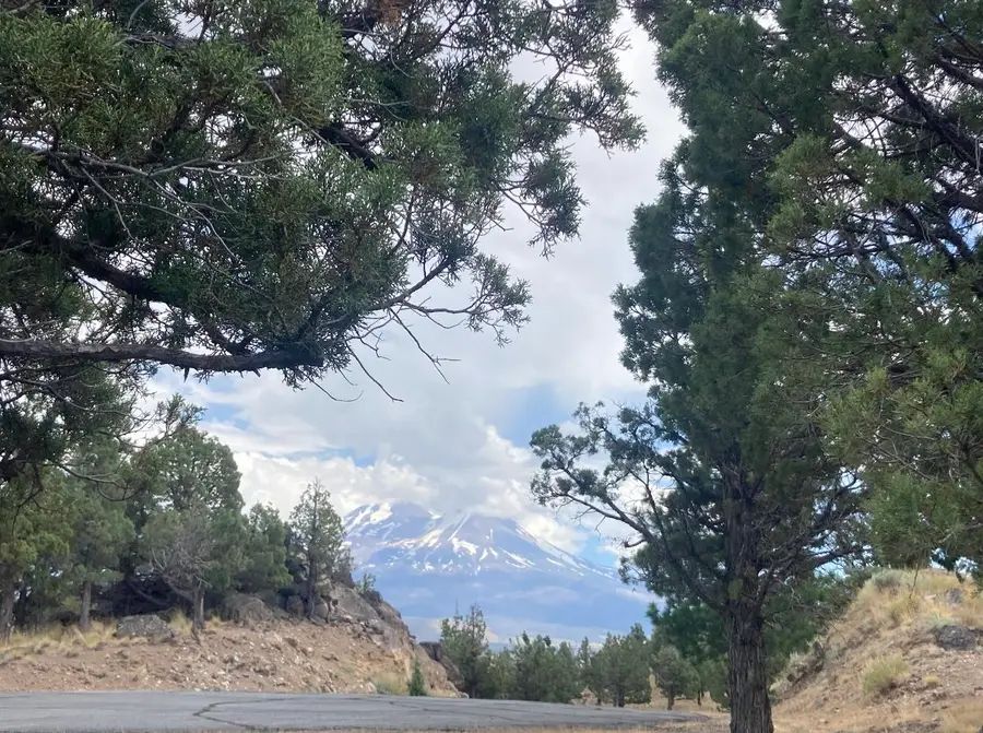 Lot 242 Eagle Rest Ct, Weed, CA 96094 - Image #3