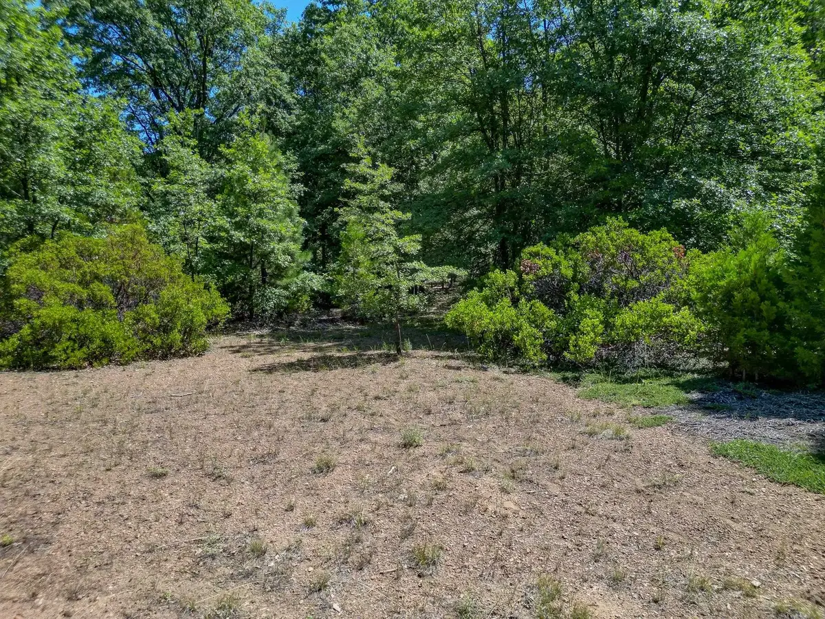 Lot A Washington Dr., Mount Shasta, CA 96067 - Image #1