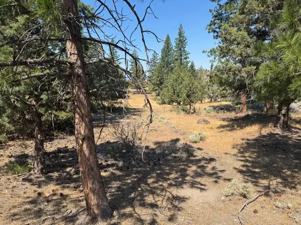 Unit 5-4 Lot 20 Lake Shore Dr, Weed, CA 96094