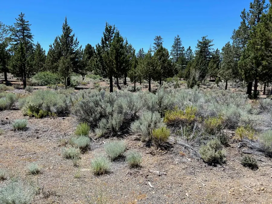 Unit 8-2 Lot 30 Lakeside Ct, Weed, CA 96094 - Image #2