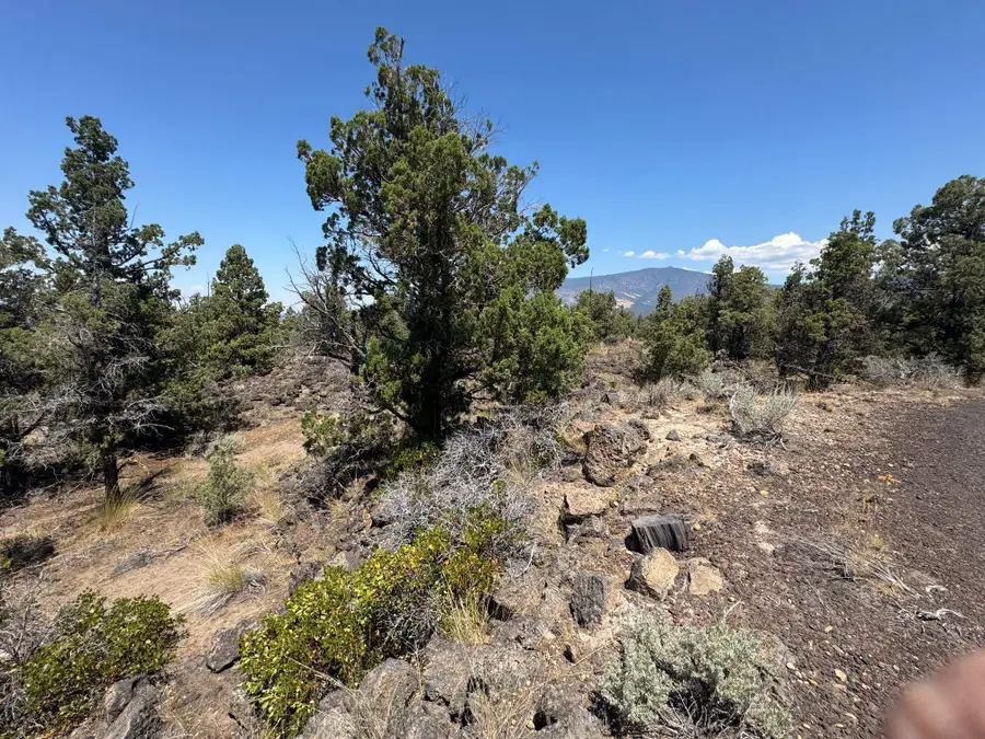 Blk 22 Lot 33 Thrush Road, Montague, CA 96064 - Image #3