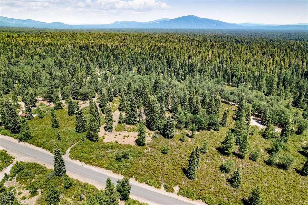 2-D-31 Snowline Circle, McCloud, CA 96057 - Image #1