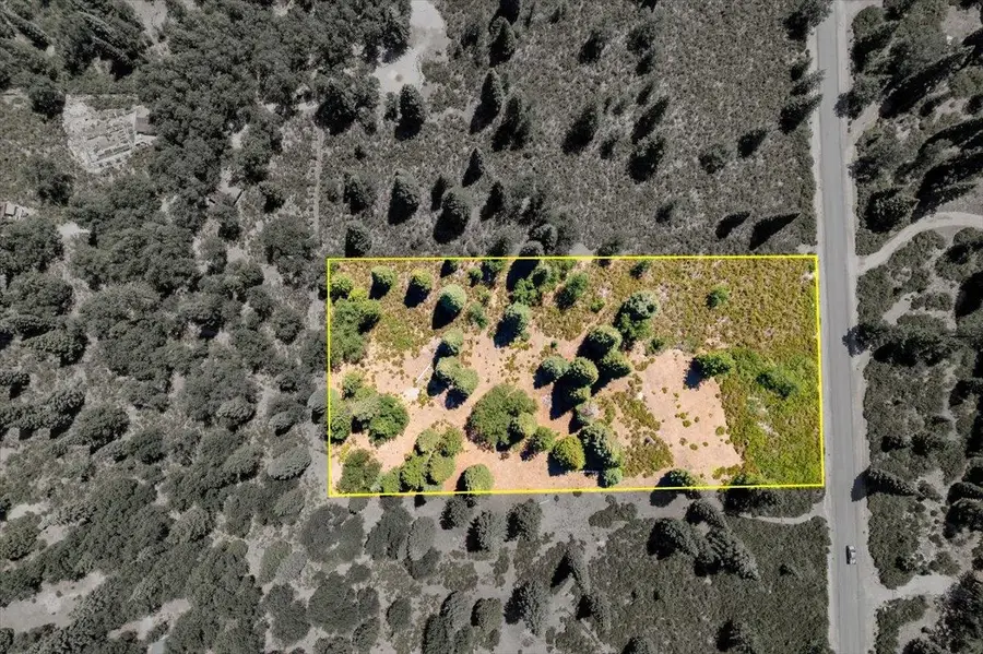 2-D-31 Snowline Circle, McCloud, CA 96057 - Image #2