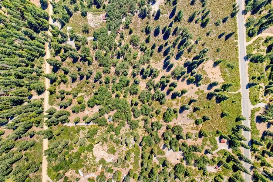 2-D-31 Snowline Circle, McCloud, CA 96057 - Image #3