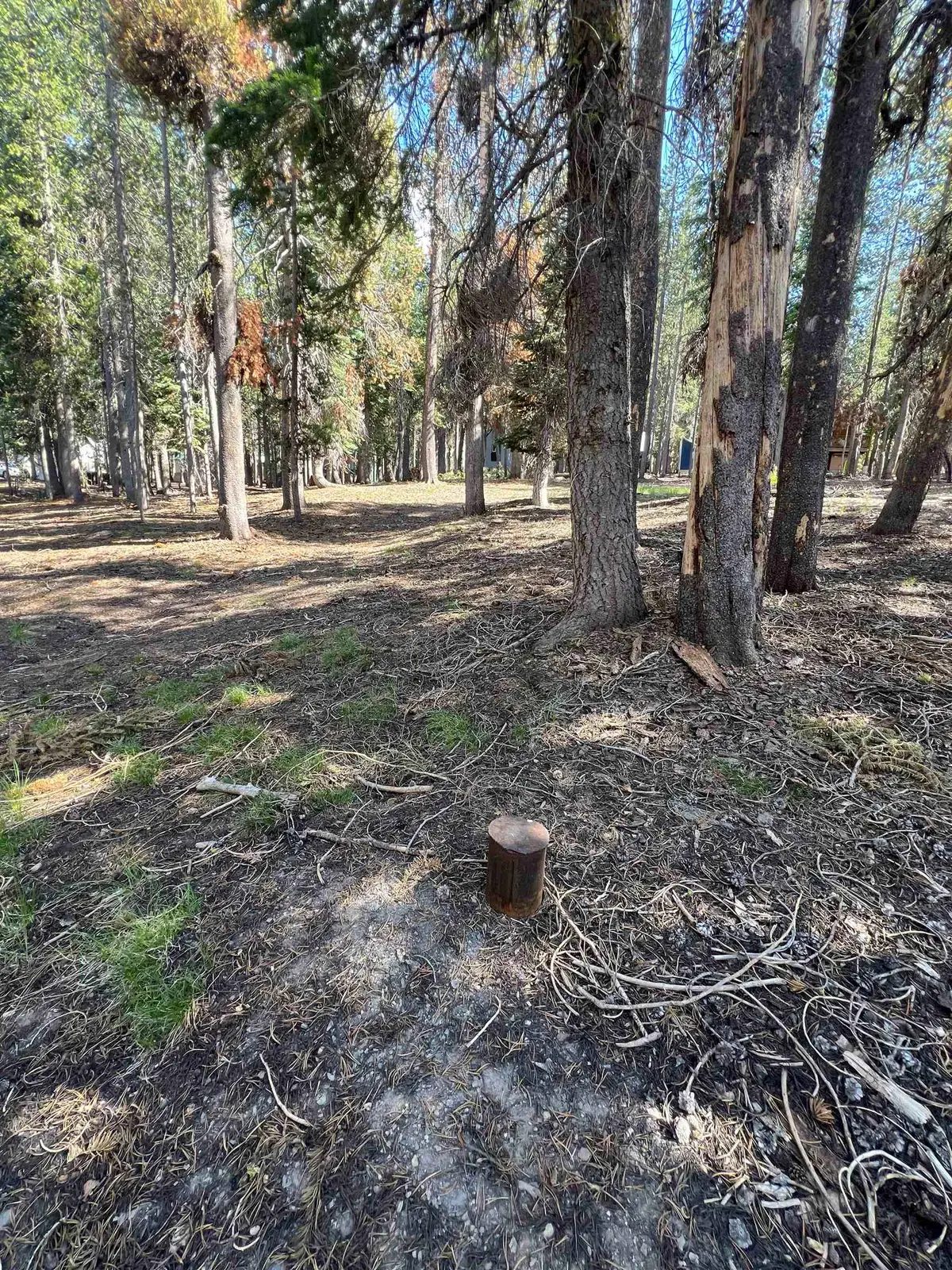 Lot 10 Lakeshore Dr., McCloud, CA 96057 - Image #1