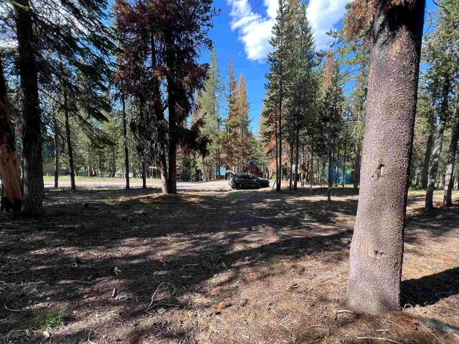 Lot 10 Lakeshore Dr., McCloud, CA 96057 - Image #2