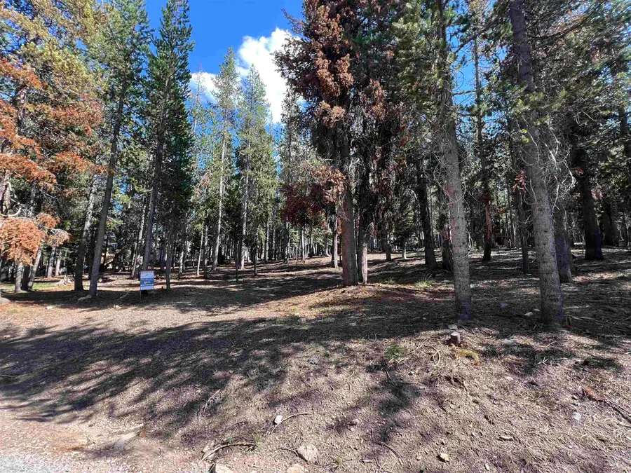 Lot 10 Lakeshore Dr., McCloud, CA 96057 - Image #3