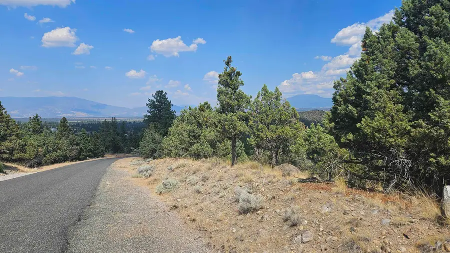 Lot 264 Stag St, Weed, CA 96094 - Image #3