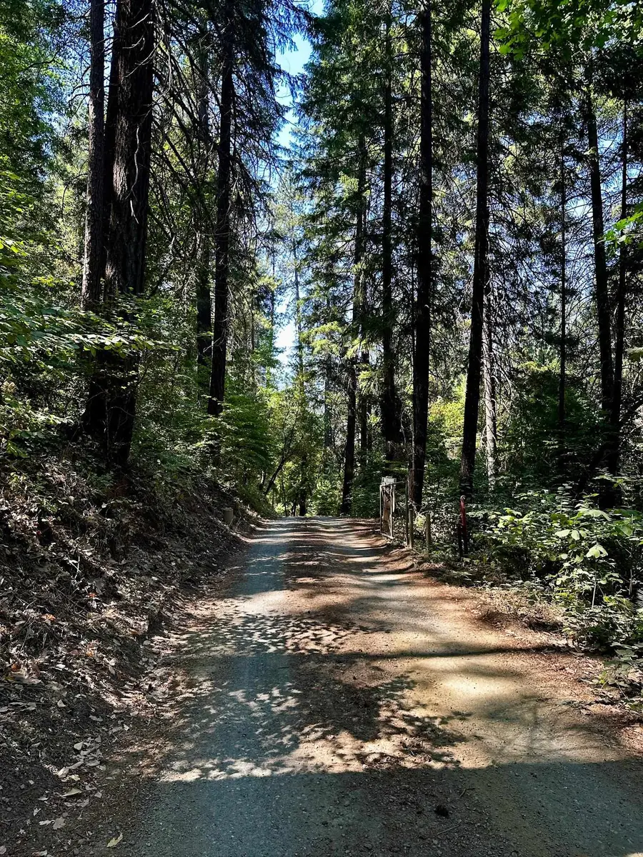 833 & 835 Elk Creek Rd, Happy Camp, CA 96039 - Image #3