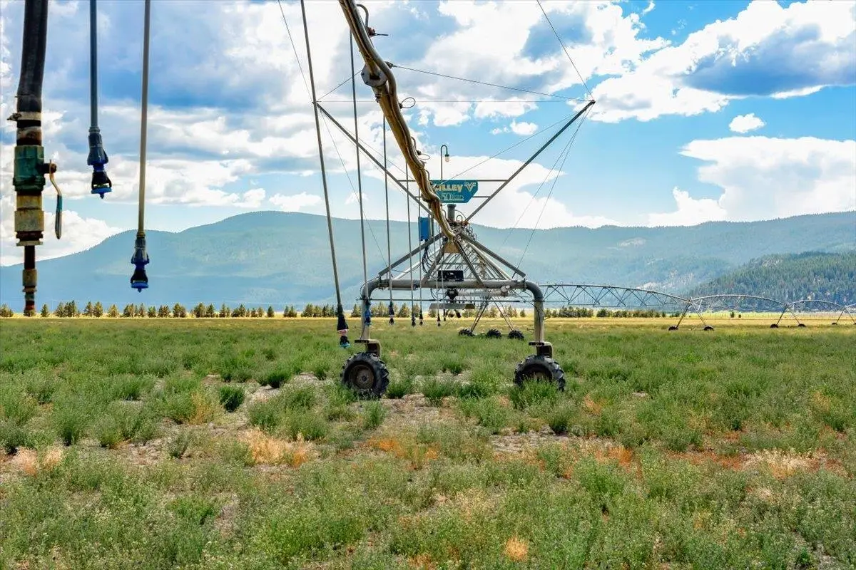 8633 Meiss Lake Sams Neck Rd, Dorris, CA 96023 - Image #1