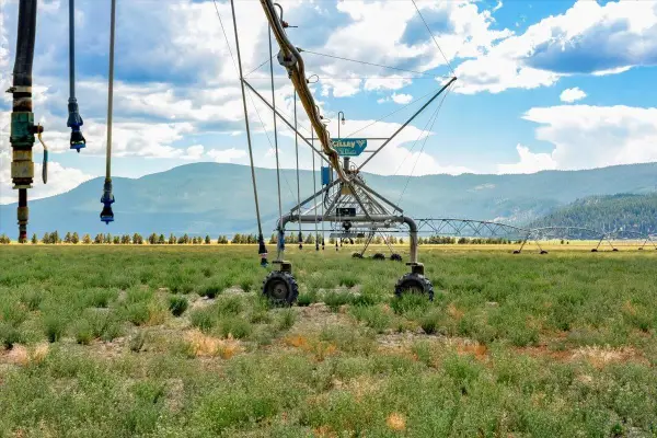 8633 Meiss Lake Sams Neck Rd, Dorris, CA 96023