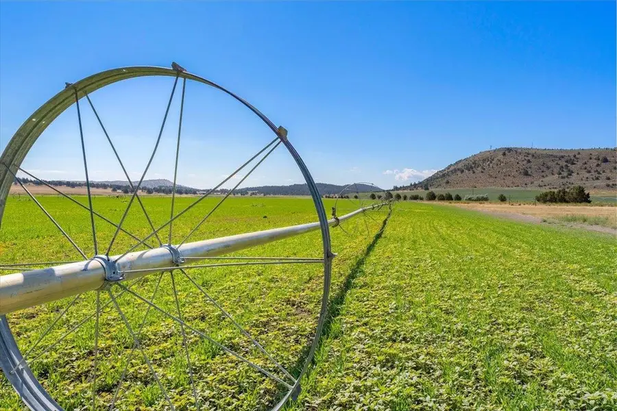 341 Acres Sheepy Creek Rd, Dorris, CA 96023 - Image #3