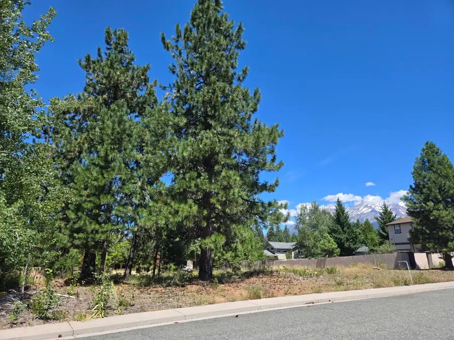 Lot 43 Deas Way, Mount Shasta, CA 96067 - Image #2
