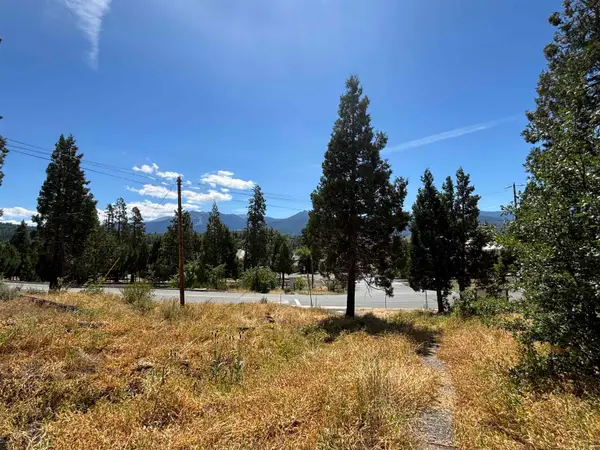 Approx 2 acres N Davis Ave, Weed, CA 96094
