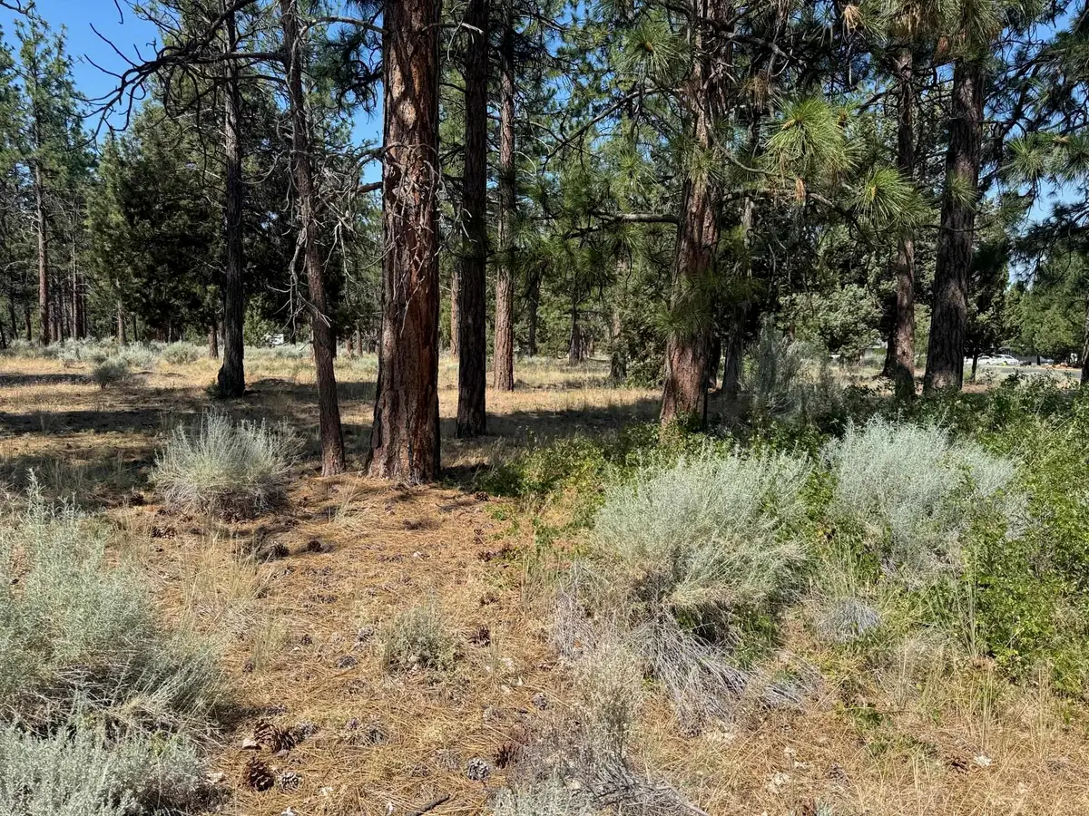 Lots 186/187 Hogan Dr, Weed, CA 96094 - Image #1