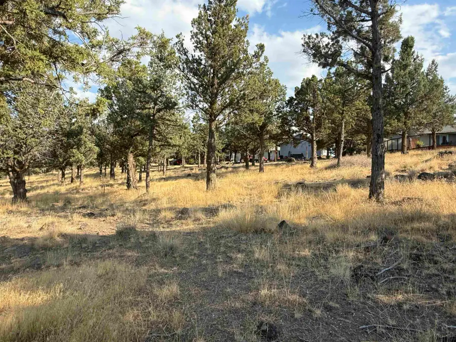 Lot 45 Palomino Rd, Weed, CA 96094 - Image #2