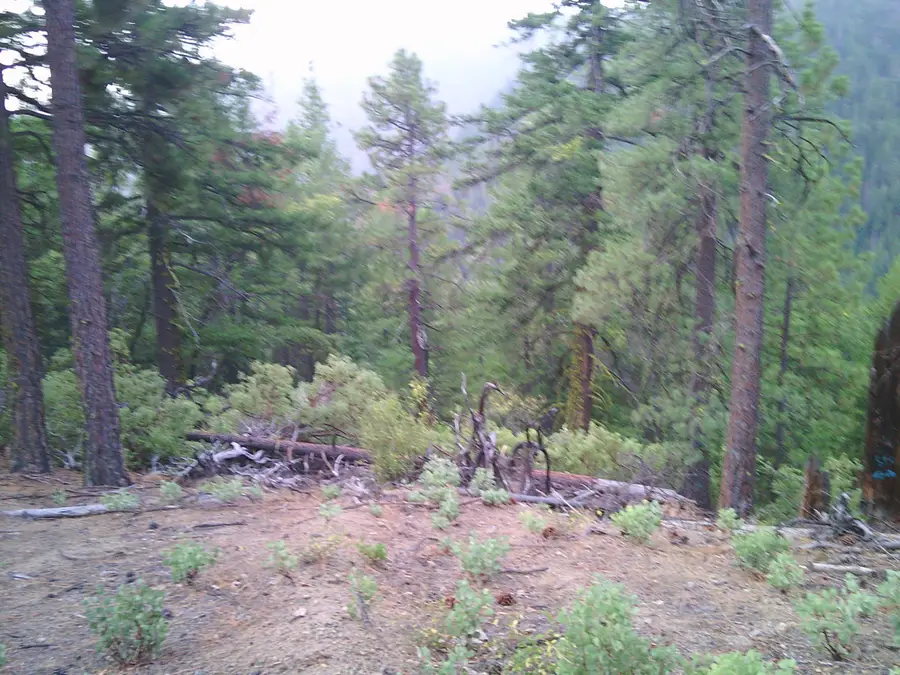 XOX Ditch Creek Rd., Hornbrook, CA 96044 - Image #2