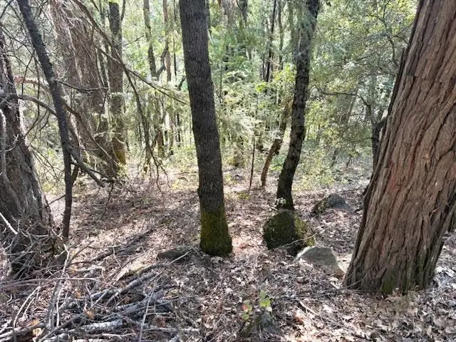 Lot 6 Block Upper River Ave, Dunsmuir, CA 96025 - Image #2