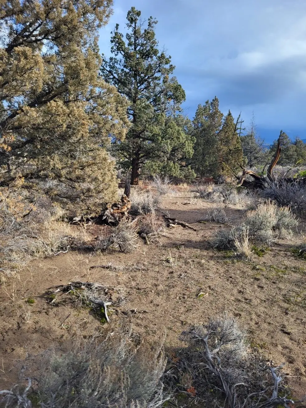 Blk 72 Lot 23 Nemeth Dr, Montague, CA 96064 - Image #1