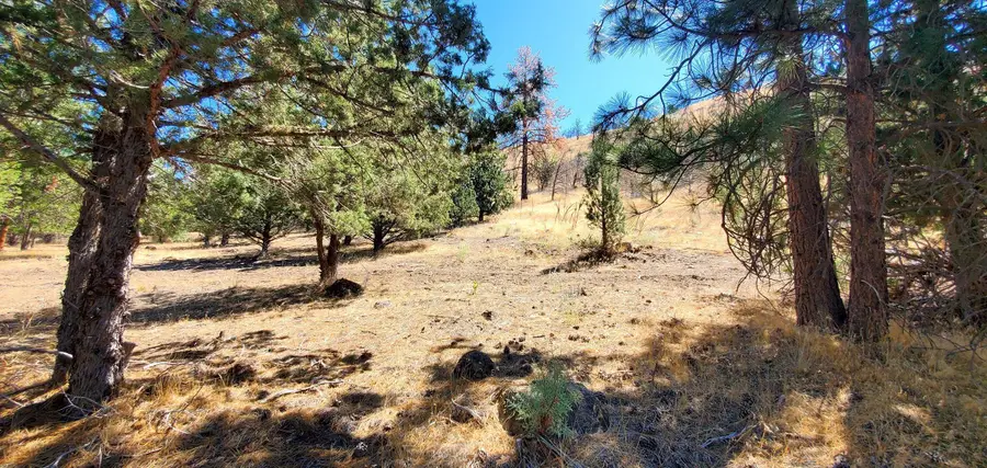 Lots 55 & 56 Tennis Ct., Weed, CA 96094 - Image #2