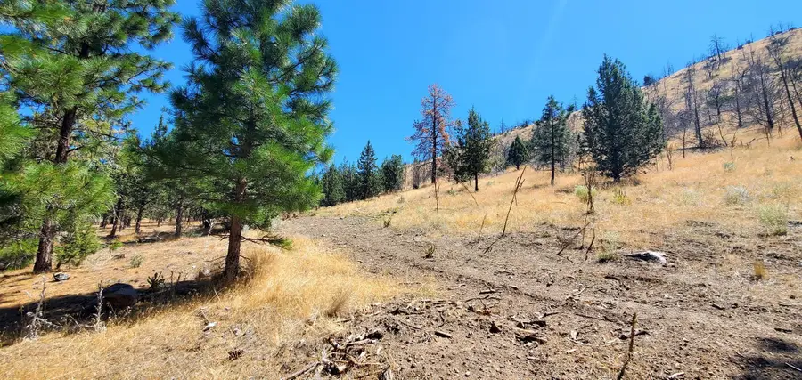 Lots 55 & 56 Tennis Ct., Weed, CA 96094 - Image #3