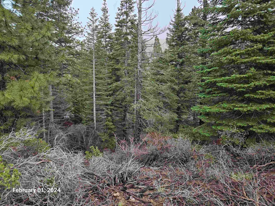 1.4 Acres Summit Drive, Mount Shasta, CA 96067 - Image #2