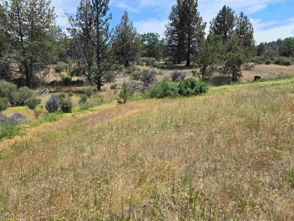 lot 697 Woverine, Hornbrook, CA 96064