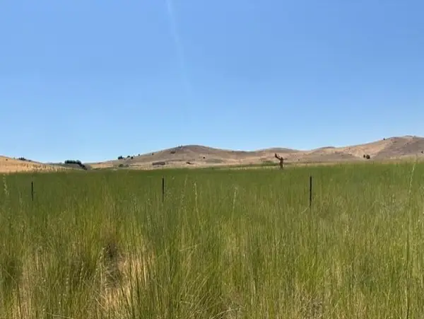 8880 Bluestone Drive, Montague, CA 96064