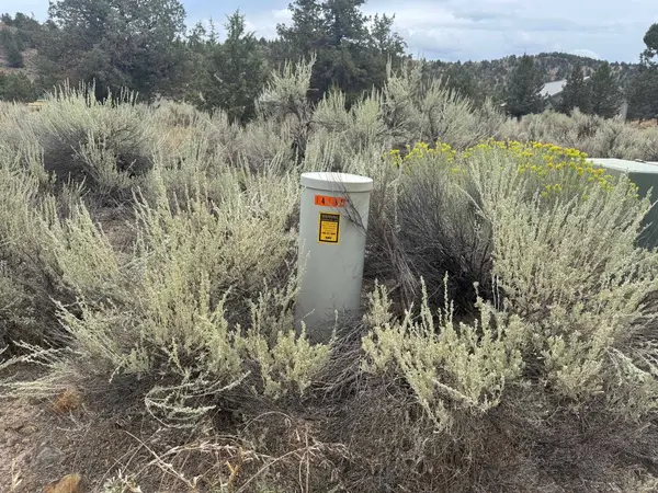 9-1 Lot 174 Riverside Dr, Weed, CA 96094