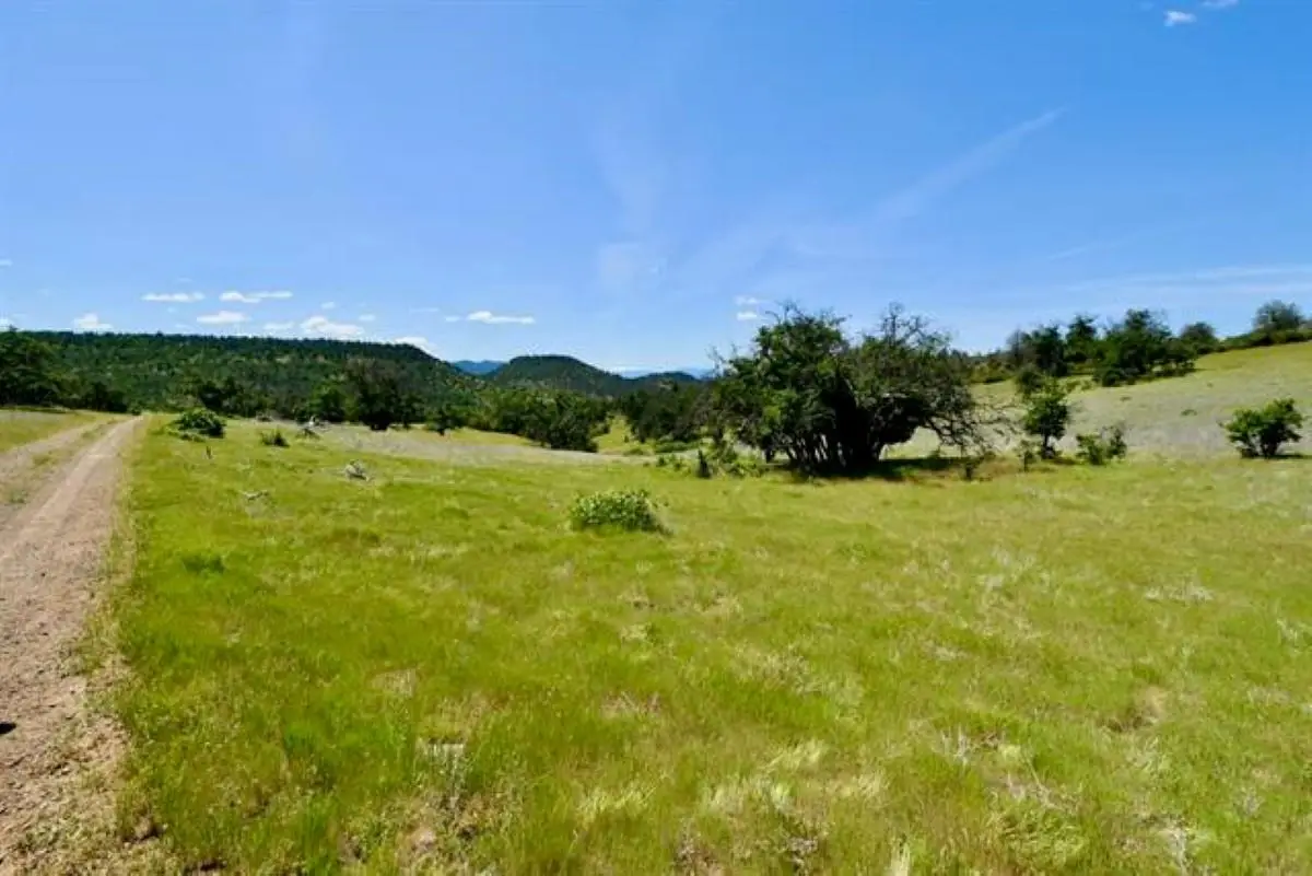 xx Yellow Dog Trail, Hornbrook, CA 96044 - Image #1