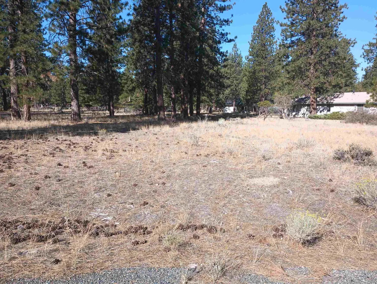 7-1/98,99 Grizzly Den Rd, Weed, CA 96094 - Image #1