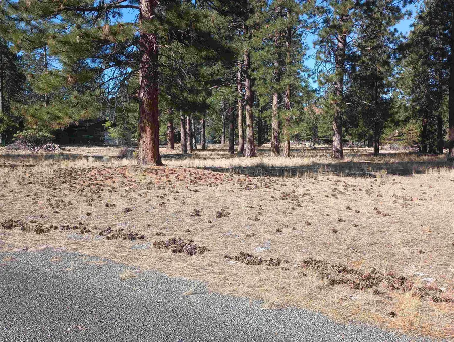 7-1/98,99 Grizzly Den Rd, Weed, CA 96094 - Image #2