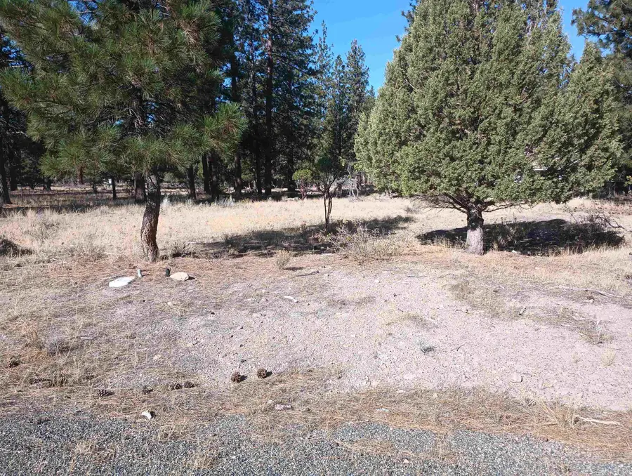 7-1/98,99 Grizzly Den Rd, Weed, CA 96094 - Image #3