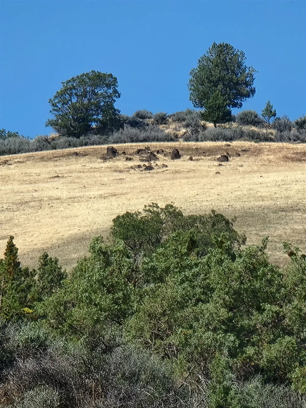 Lot 17 Camp Creek Rd, Hornbrook, CA 96044 - Image #1