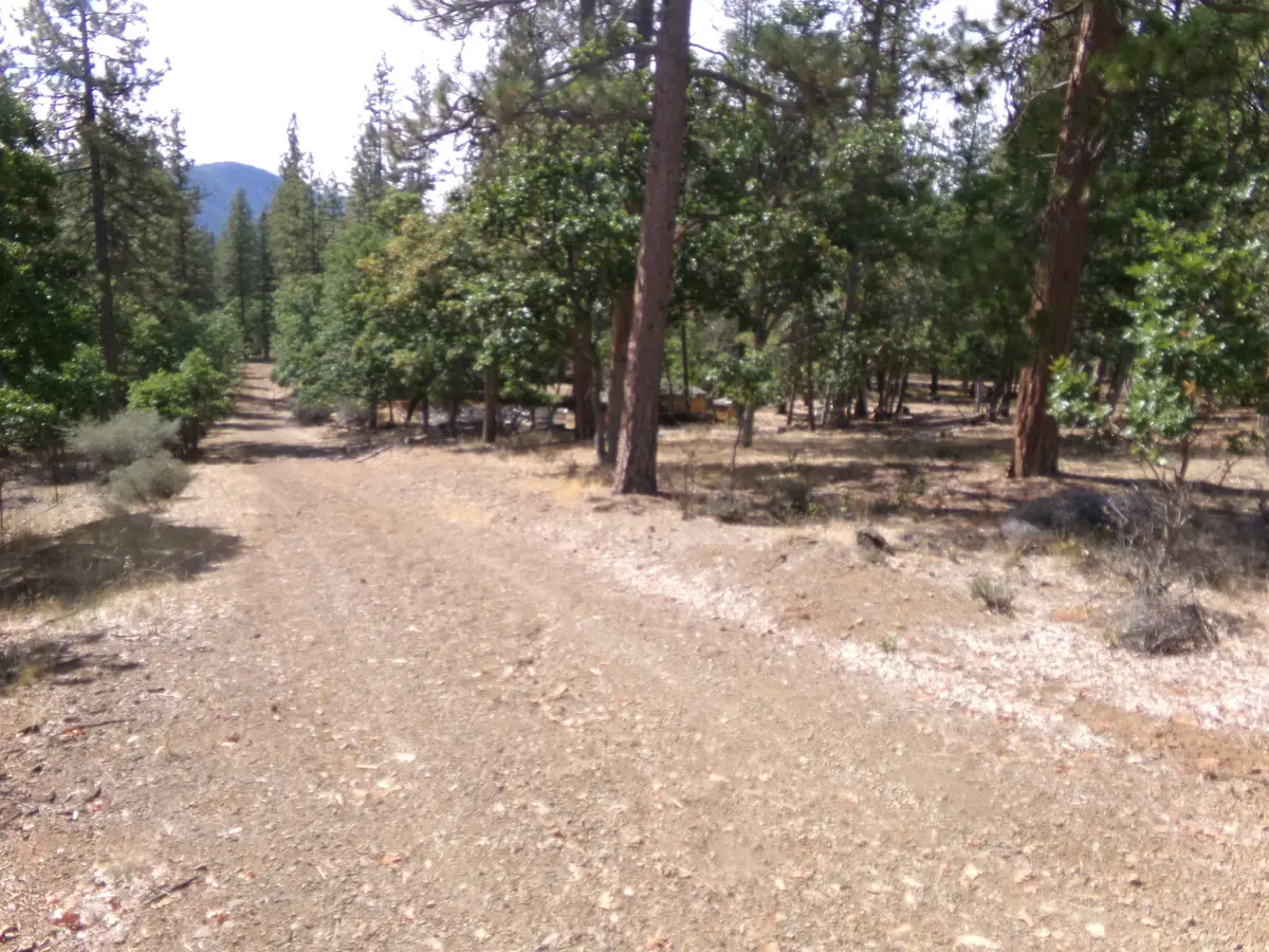 13138 Pine Tree Ln, Fort Jones, CA 96032 - Image #1