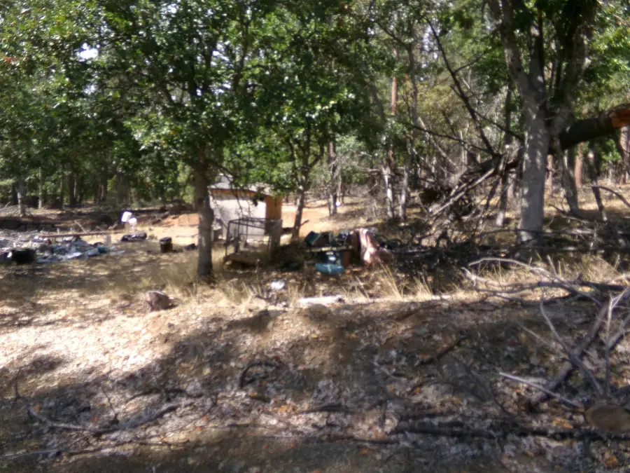 13138 Pine Tree Ln, Fort Jones, CA 96032 - Image #2