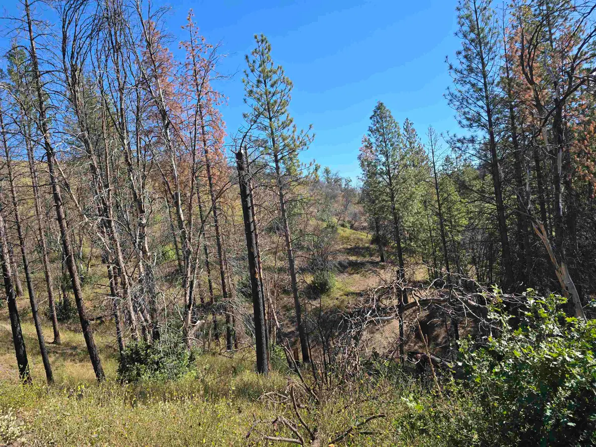 000 Eliza Gulch, Yreka, CA 96097 - Image #1
