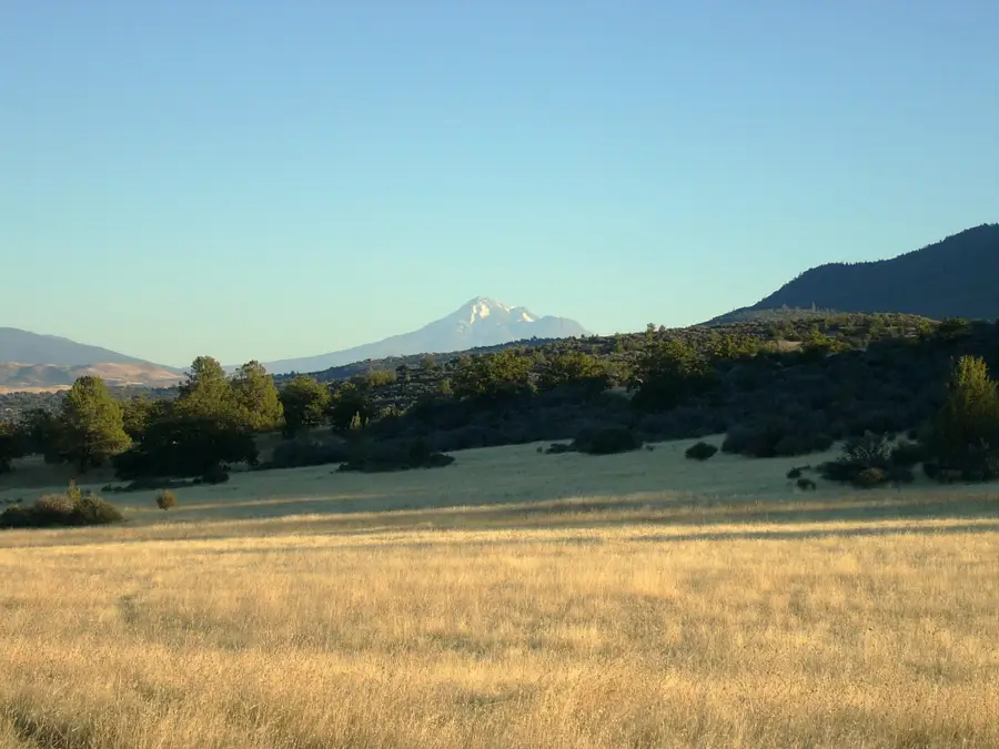 154 acres end of Dry Creek Rd, Hornbrook, CA 96044 - Image #3