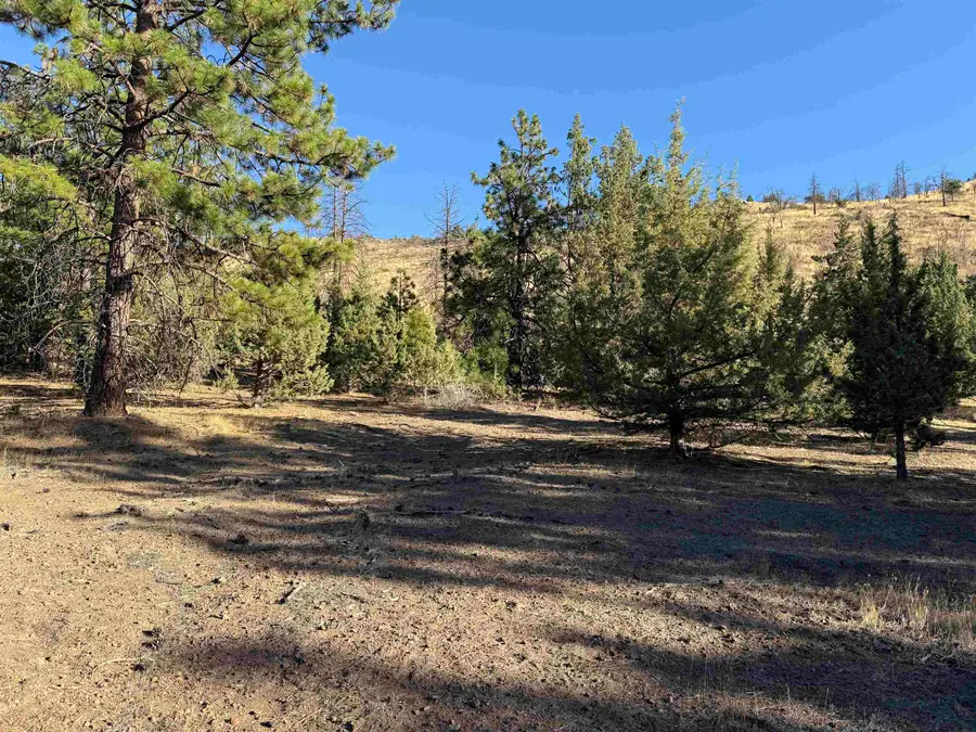 Unit 5-4 Lot 60 Tennis Ct, Weed, CA 96094 - Image #2