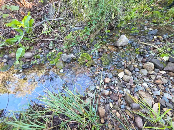 5.01 Acres Muledeer Dr., Weed, CA 96094